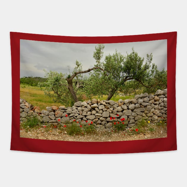 Landscape Near Loziscz, Brac Island, Croatia Tapestry by jojobob