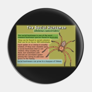 The Social Huntsman (Delena cancerides) Poster Pin