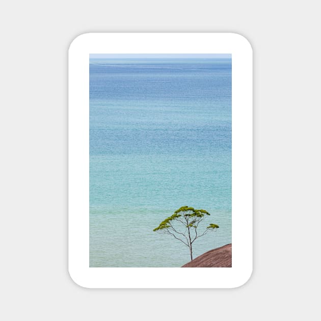 Small tree and big vast ocean scenery Magnet by Juhku