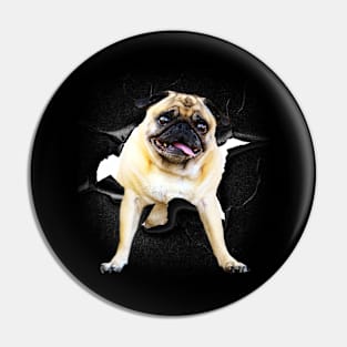 Funny Cute Pug Dog Poking Head, Cracked Wall Pin