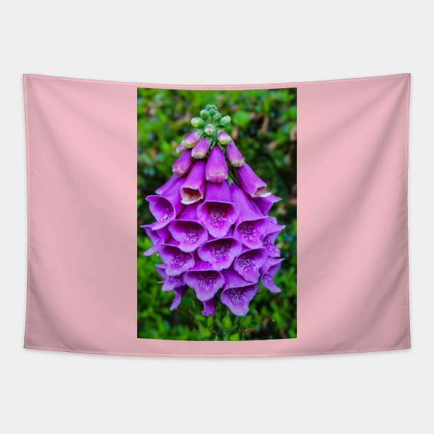 Purple Foxglove Tapestry by Rob Johnson Photography