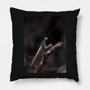 praying mantis Pillow