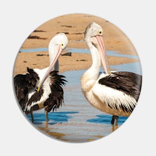 Australian Pelicans Pin