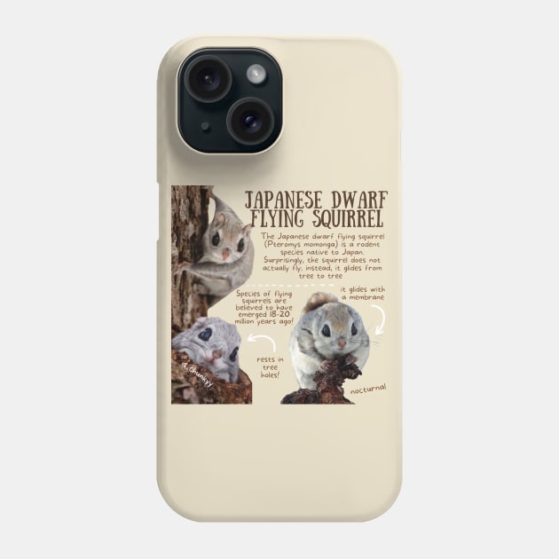 Animal Facts - Japanese Dwarf Flying Squirrel Phone Case by Animal Facts and Trivias