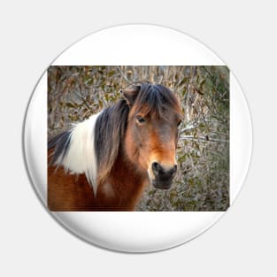 Assateague Island Pony Patricia Irene Pin