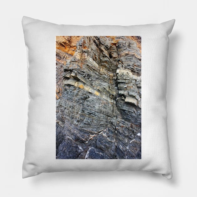 History Book. Panther Beach, California Pillow by IgorPozdnyakov