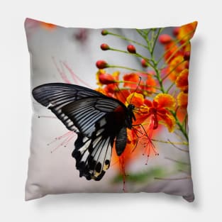 Butterfly in Spring flowers Pillow