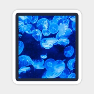 blue ocean waves view Magnet