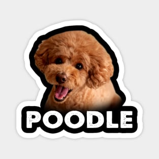 Sophisticated Swirls Poodle Style, Trendsetting Tail-Wagging T-shirt Magnet