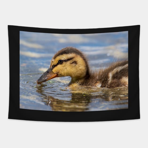 Duckling Tapestry by gdb2