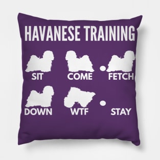 Havanese Training Havanese Dog Tricks Pillow