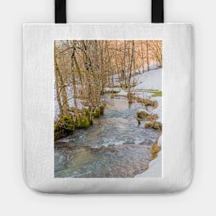 Calc-sinter or Travertine terraces, Gutenberg, South Germany Tote