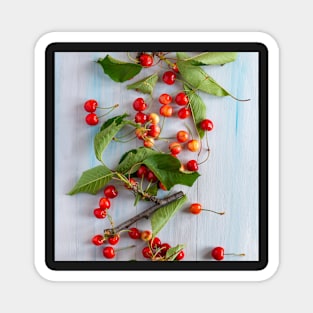 bowl with red cherries food background art Magnet