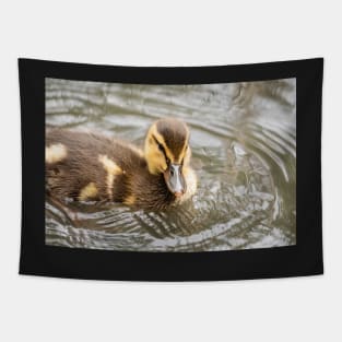 Tiny duckling in the lake Tapestry