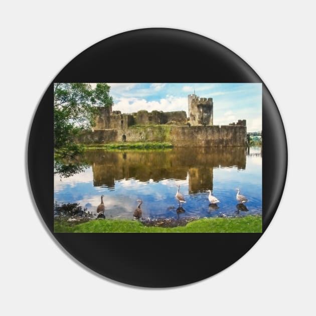 The Castle Geese Pin by IanWL