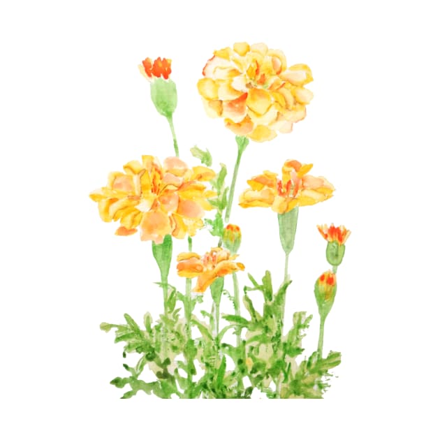 orange Mexican marigold flowers by colorandcolor