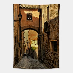 A lane in Toledo Tapestry