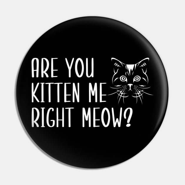 Are You Kitten Me Right Meow Pin by Health