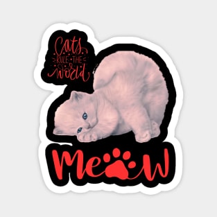 cat meow Magnet