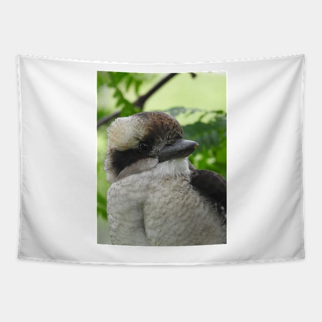 Kookaburra Tapestry by kirstybush