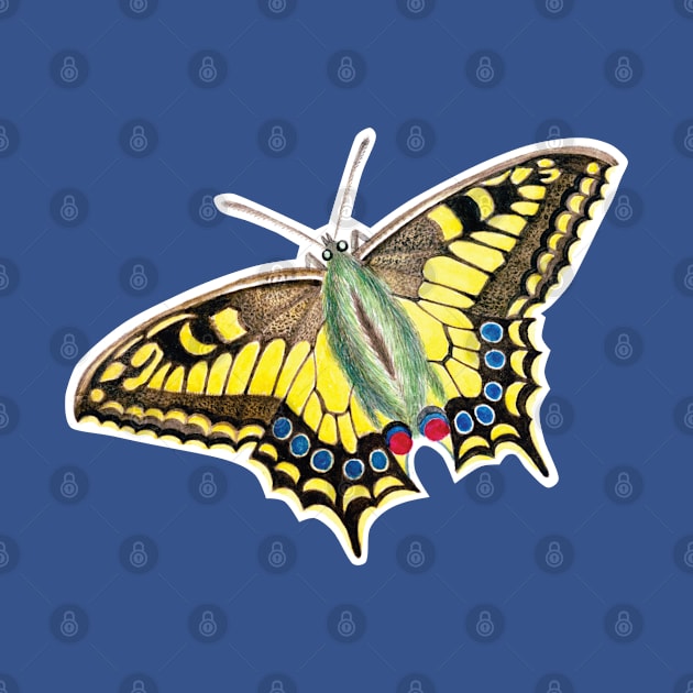 Vintage Swallowtail Butterfly Illustration by DPattonPD