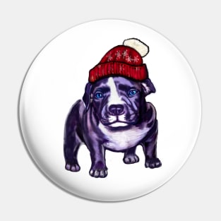 pit bull dog puppy in a red beanie hat - cute blue line pittie with piercing blue eyes Pin