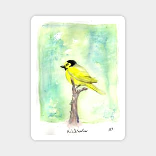 hooded warbler watercolor Magnet