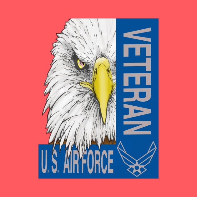 Veteran - US Air Force by JeffWittyArt