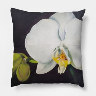 Phaelenopsis - moth orchid painting Pillow