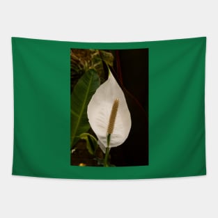 Anthurium Tapestry