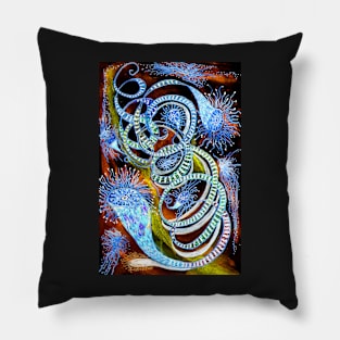 Plankton Species  X Series 1.1 Pillow