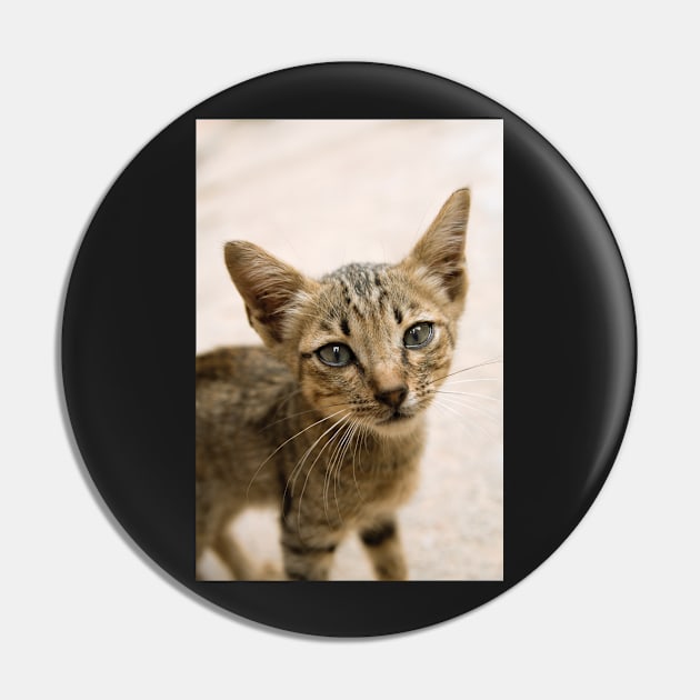 Tabby Kitten Pin by Kat C.