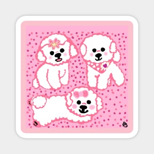 Bichon Frise Magnet