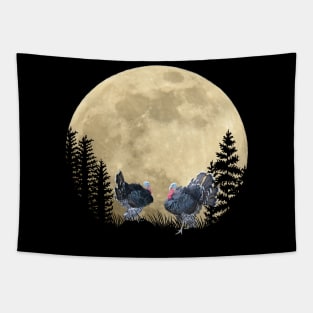 Romantic turkey with bat at night in the moonlight Tapestry