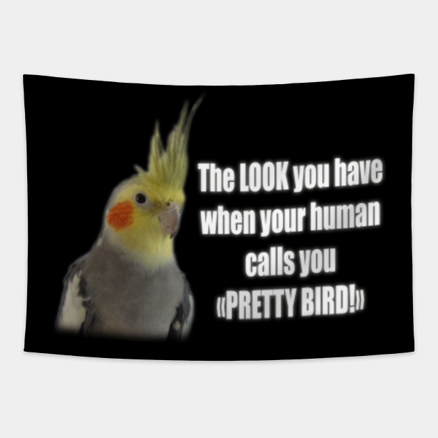 COCKATIEL Birds Meme Funny Cockatiels Design Cockatiel Bird