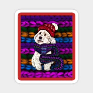 cavalier king charles spaniel in a knitted scarf and background Magnet