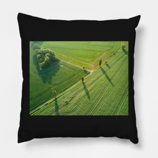 Suffolk Fields #3 Pillow