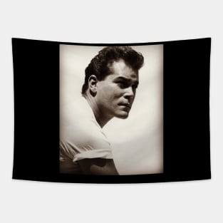 Ray Liotta | 1954 Tapestry