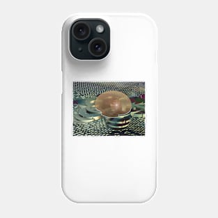 Silver Springs Suburban SkyMall Phone Case