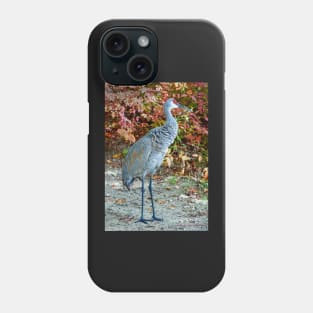 Crane's Walkabout Phone Case