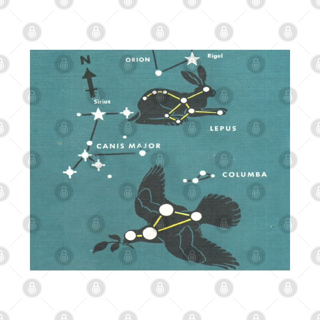 Astronomy Star Map Vintage Illustration by elevens.design