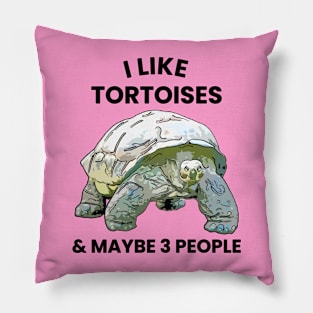 I Like Tortoises and Maybe 3 People Pillow