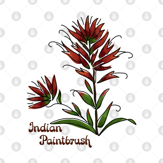 Indian Paintbrush by Slightly Unhinged