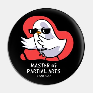 Master of partial arts Pin