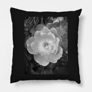 Beach Rose (in Black & White) Pillow