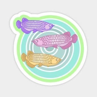 Arowana Fishes In The Water Magnet