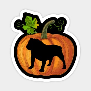 Bulldog in pumpkin Magnet