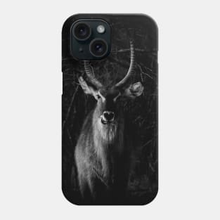 N&B vintage - Amandla n'a peur de rien Phone Case