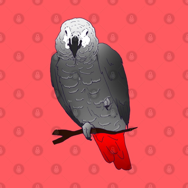 African Grey Parrot Perching and Sleeping on a Branch by Einstein Parrot