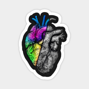 Heart in half colorful Magnet